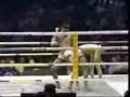 Muay Thai Deadly Skills