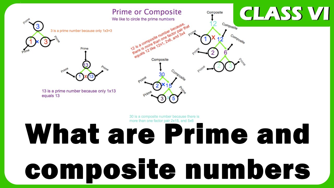 Prime numbers homework help
