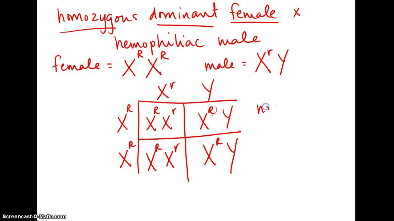 Sex linked traits multiple choice questions