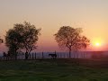 CAMINHOS DE MARIALVA: UVA,TRADIÇÃO E TURISMO