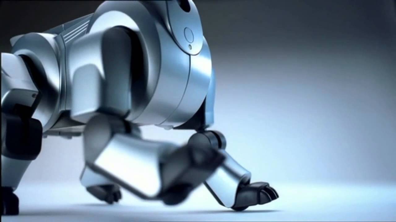 aibo case write up aibo case write up