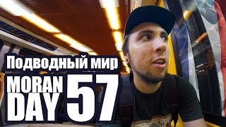 Moran Day 57 - Подводный Мир