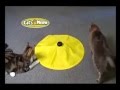 Cats Meow Toy | Cats Love Get Cats Meow Toy As Seen On Tv