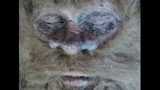 Bigfoot Found and Killed