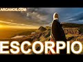 Video Horscopo Semanal ESCORPIO  del 13 al 19 Noviembre 2022 (Semana 2022-47) (Lectura del Tarot)
