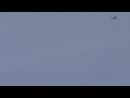 Spitfire Luc