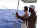 pescaria jigging Fernando de Noronha I pescaria jigging Fernando de Noronha I