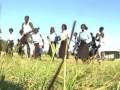 Thumbnail 2 for Sudanese Music From Dinka Bor Thumbnail 2 for Sudanese Music From Dinka Bor