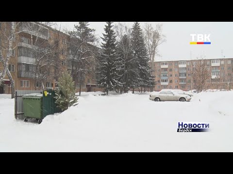 Праздники подошли к концу, и жители Бердска начали выбрасывать новогодние ёлки