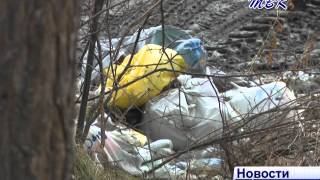 В Бердске состоялась акция «Чистые берега»