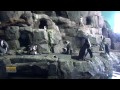California Road Trip 2012 (Full video)