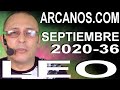 Video Horóscopo Semanal LEO  del 30 Agosto al 5 Septiembre 2020 (Semana 2020-36) (Lectura del Tarot)