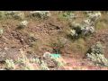 Shooting a Full Propane Tank with a Hunting Rifle