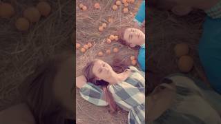 Наташа Королёва «Абрикосовые сны» Стихи: Михаил Гуцериев Музыка: Дина Мигдал #историибольшихпесен