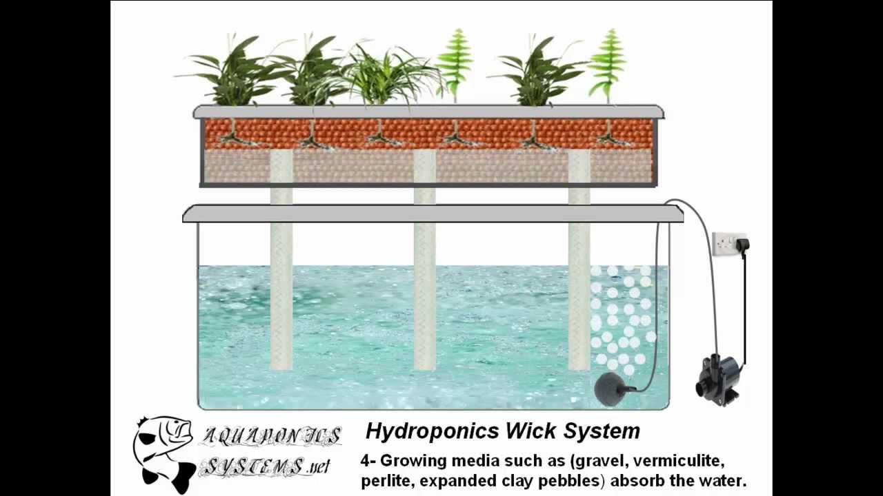 Hydroponic wick System - YouTube
