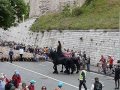 Fête de la transhumance à Marseille le 9 juin: le théâtre du Centaure a l'honneur!