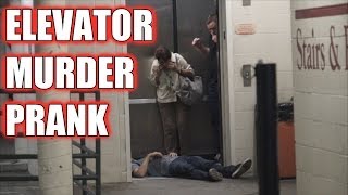 Funny Videos Free Online