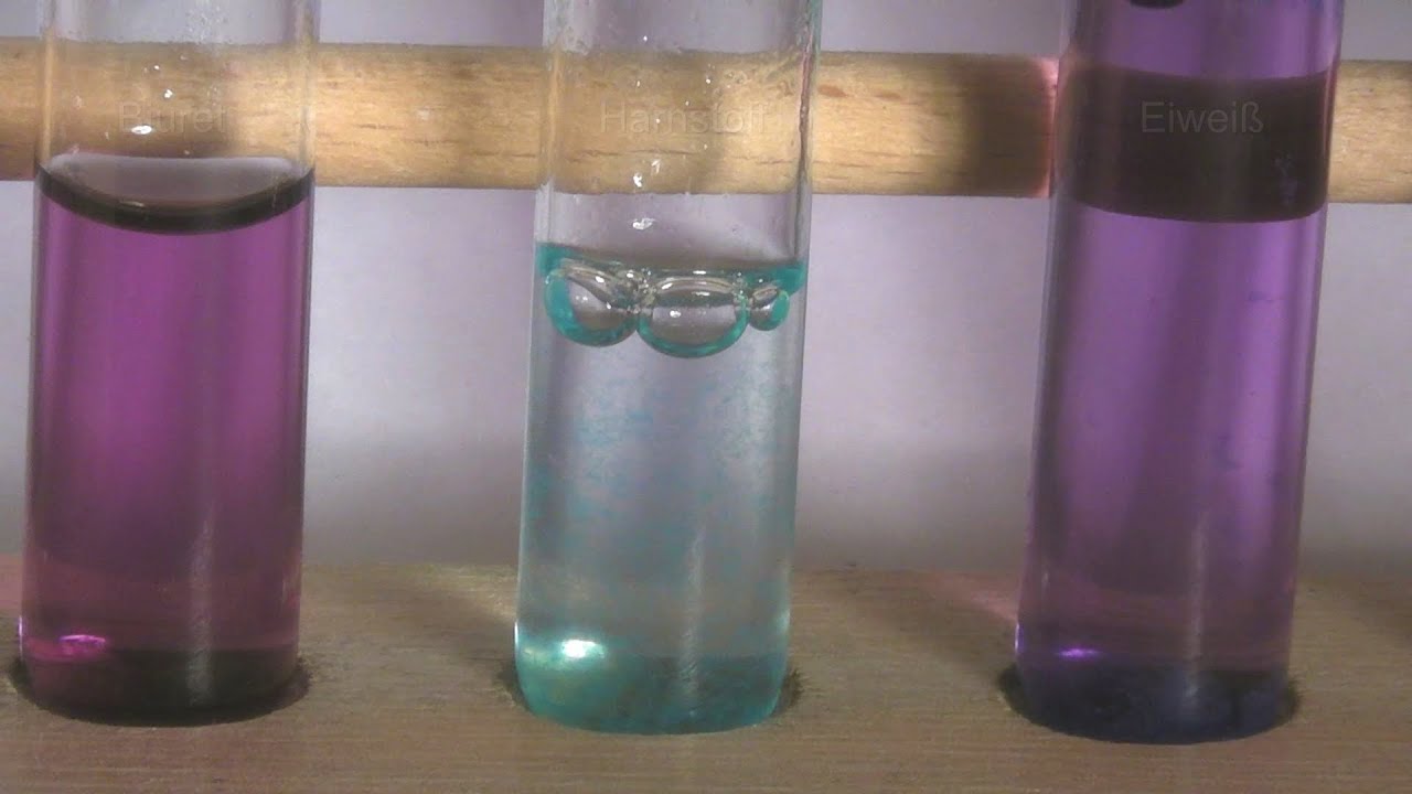 BiuretTest (biuret test) YouTube