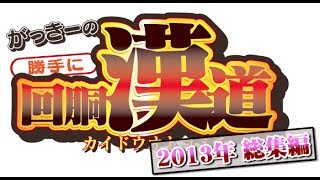 がっきーの勝手に回胴漢道【2013年総集編】