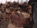 Ökológiai Intézet - A fa és tüzelése