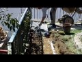 Cómo hacer una solera de hormigón armado de 10 cm Vídeo nº 102