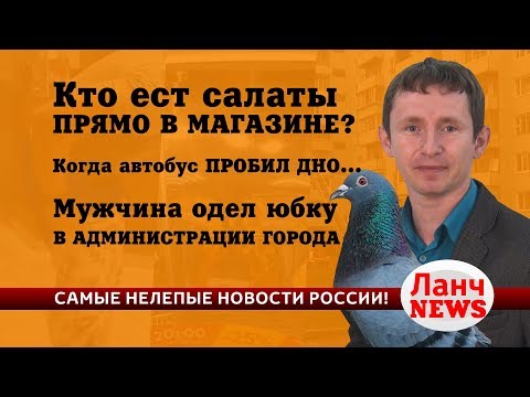 Архангельская область. Голубь в магазине клюет салат Архангельская область. Голубь в магазине клюет салат
