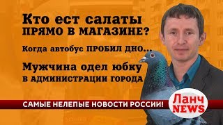 Архангельская область. Голубь в магазине клюет салат