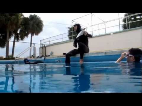F.I.I. Freediving Courses - www.freedivinginstructors.com