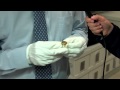Baseball Hall of Fame - Opening Day - A View From The Vault