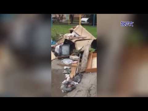 Бердчанин жалуется на свалку во дворе