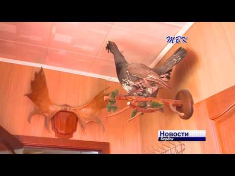В Бердске стартовал охотничий сезон на пернатую дичь