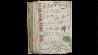 Voynich manuscript. All pages scanned (undeciphered language)