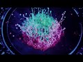 Major Lazer ft. Laidback Luke & Ms. Dynamite -