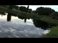 TOPWATER FROG BASSIN! TOPWATER FROG BASSIN!