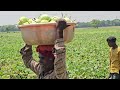 Heatwave In India | Vegetable Farmers In Jammu Fear Enormous Losses Due To Rising Heat  - 01:38 min - News - Video
