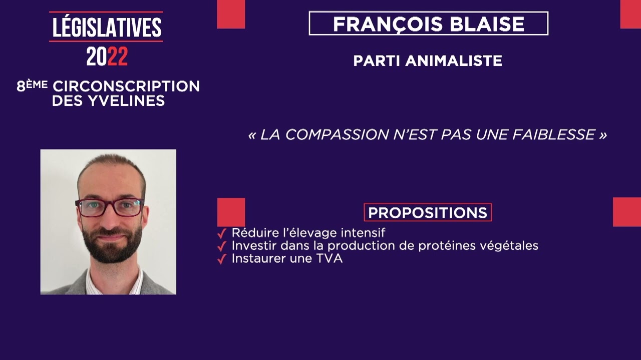 Yvelines | Législatives : les propositions des candidats de la 8ème circonscription des Yvelines