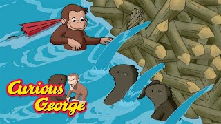 George Builds A Beaver Dam 🐵 Curious George 🐵 Kids Cartoon 🐵 Kids Movies
