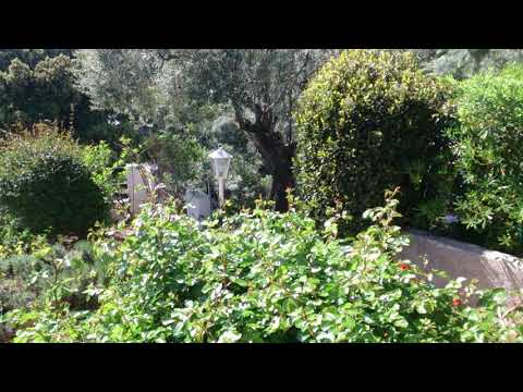 Vidéo de l’hébergement
