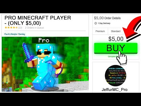 HIRING A PRO MINECRAFT PLAYER FOR $5!  VideoMoviles.com