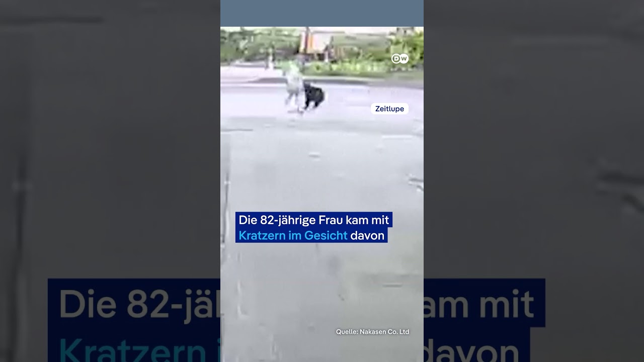 82-Jährige in Japan von Bär angegriffen | DW Nachrichten