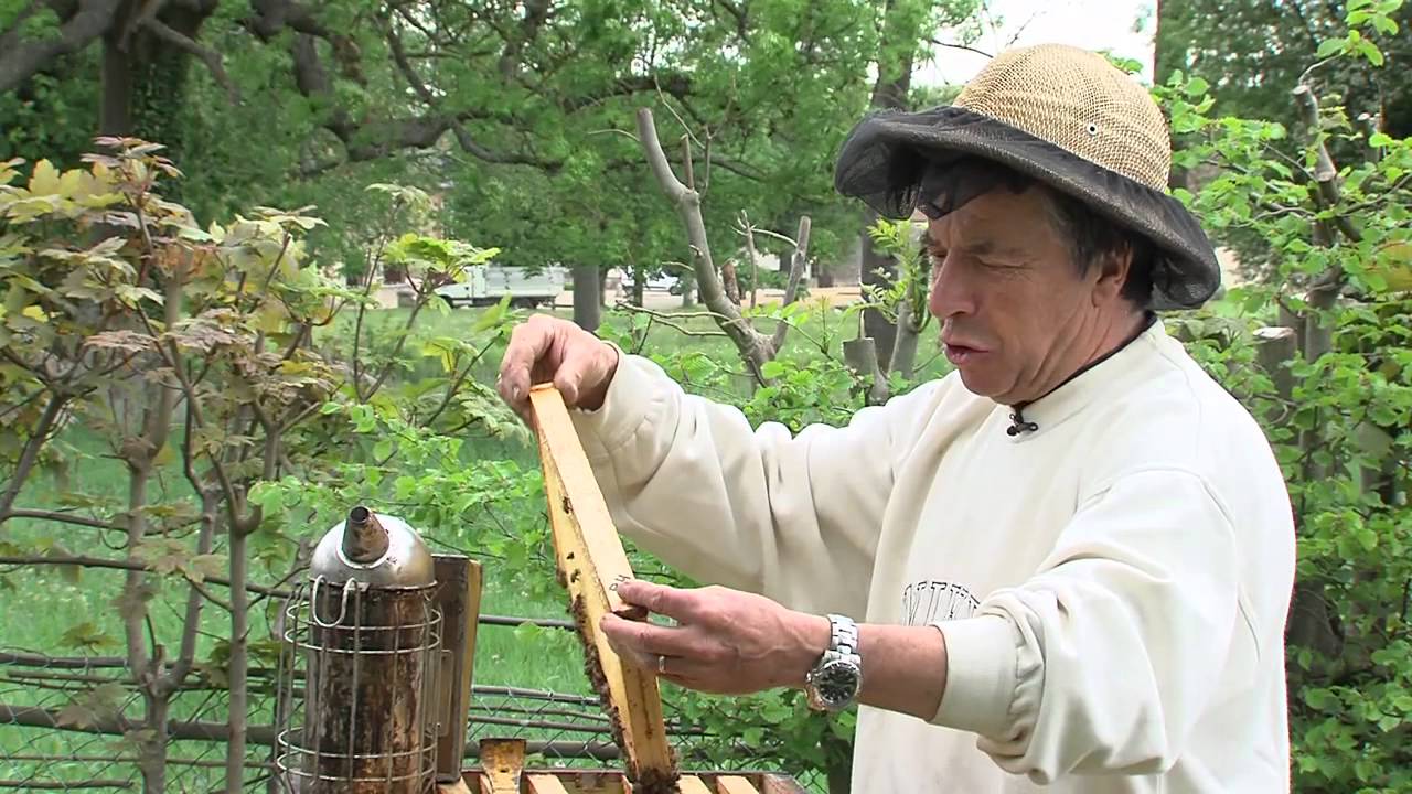 Portrait d’un métier : apiculteur