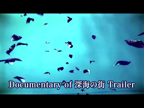 松任谷由実 - Documentary of 深海の街 Trailer