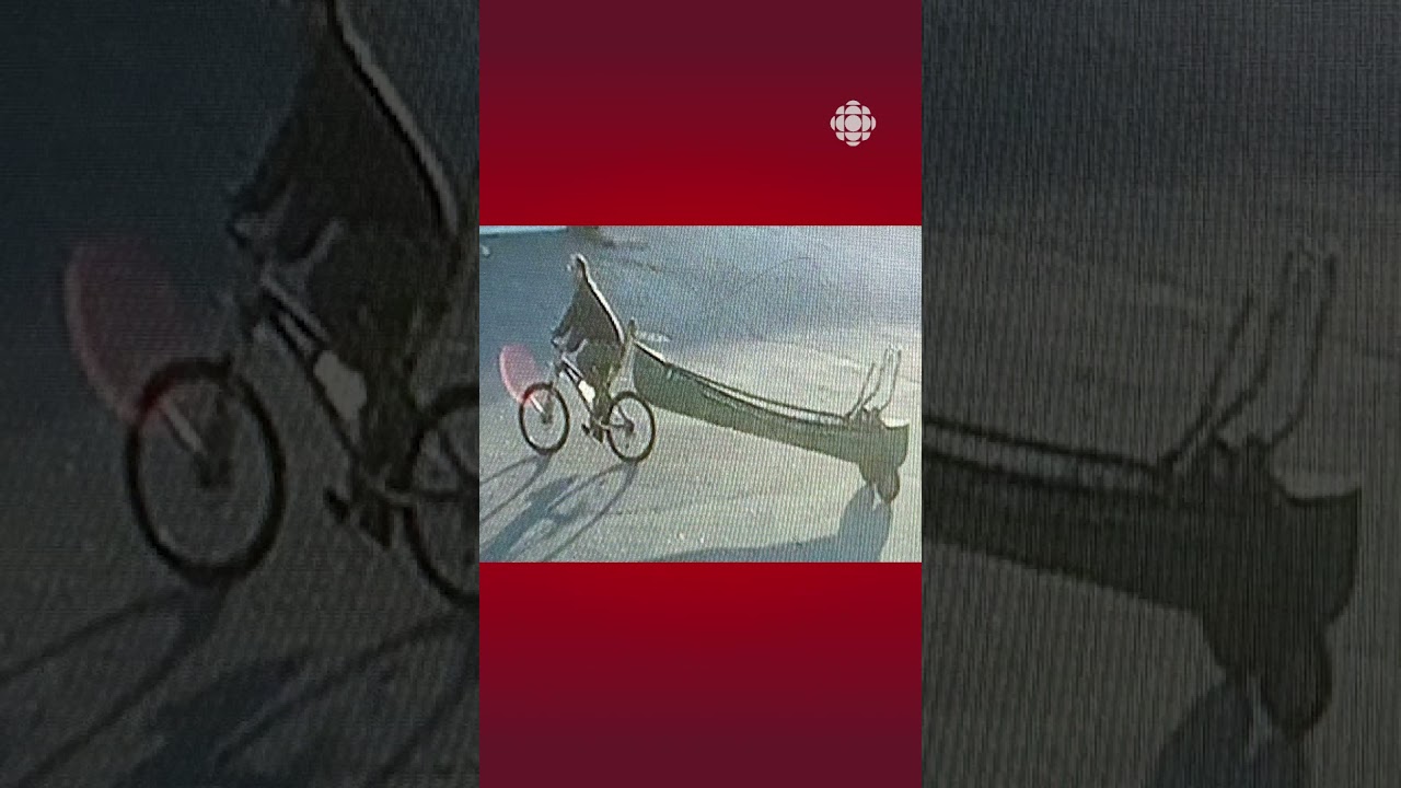 Déploiement policier pour retrouver un disparu à Saguenay | Vidéojournal