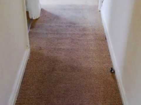 Peter Thomas Carpet Cleaning South Kensington - 0800 978 8257