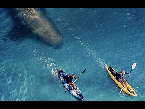 The Reef: Stalked'