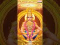 # AppayyaDarshanam #ayyappa #telugudevotionalsongs #devotionalhitsongs #shorts #youtubeshorts  - 00:58 min - News - Video