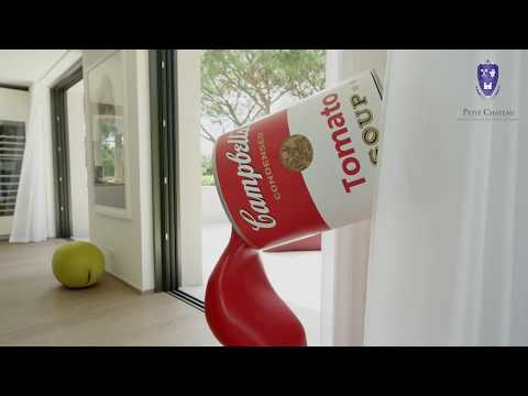 Property video