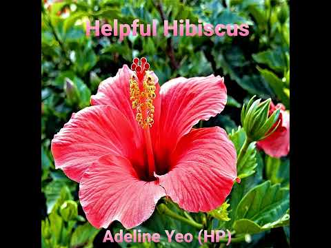 Adeline Yeo - Helpful Hibiscus