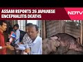 Encephalitis News | Assam Reports 26 Japanese Encephalitis Deaths, Makes Up 50% Of Indias Cases