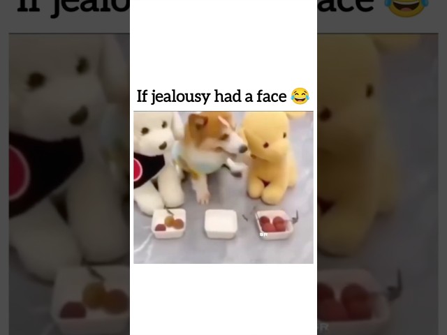 It’s not jealousy. Bro is fighting for equality!